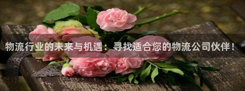 多多28加拿大下载：物流行业的未来与机遇：寻找适合您的物流公