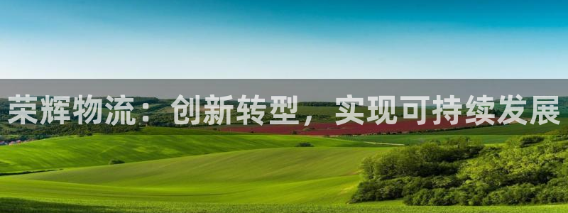 多多28怎么注册账号：荣辉物流：创新