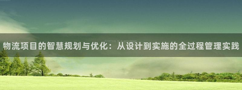 多多28登录流程：物流项目的智慧规划