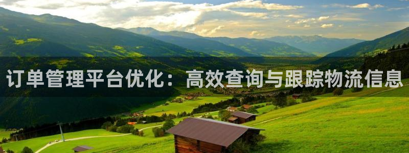 多多28cn：订单管理平台优化：高效