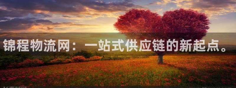 多多28是正规软件吗：锦程物流网：一站式供应链的新起点。