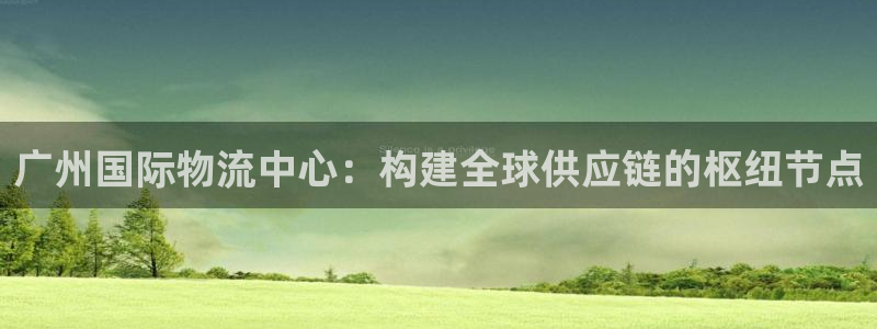 多多28是南宫旗下的吗：广州国际物流