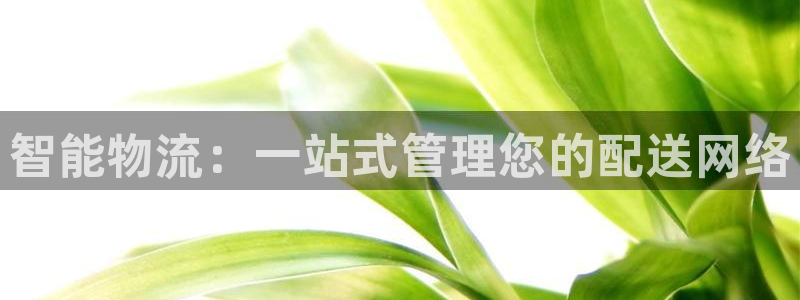 多多28模拟：智能物流：一站式管理您