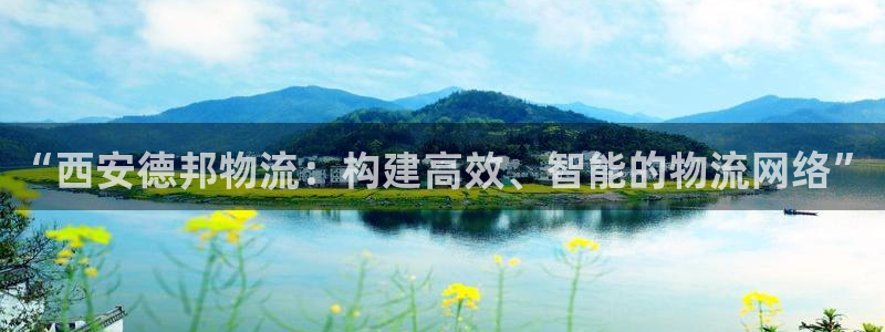 多多28登录流程：“西安德邦物流：构