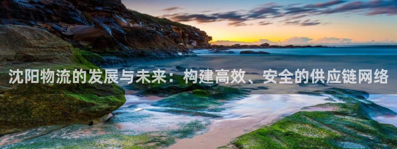 多多28稳吗：沈阳物流的发展与未来：