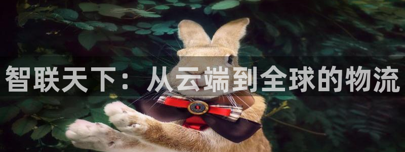 多多28官网入口pcios：智联天下