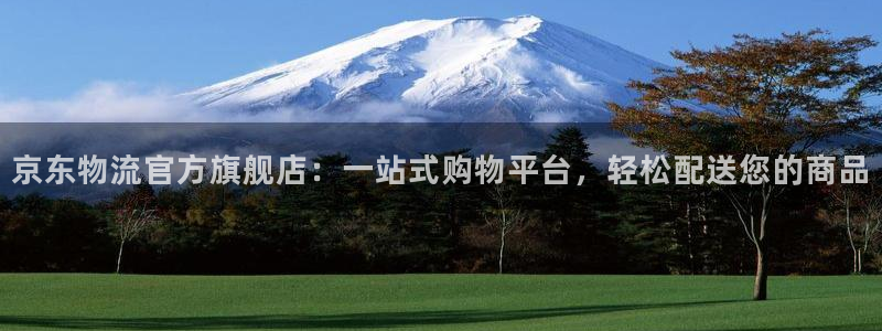 多多28登录不上咋回事：京东物流官方