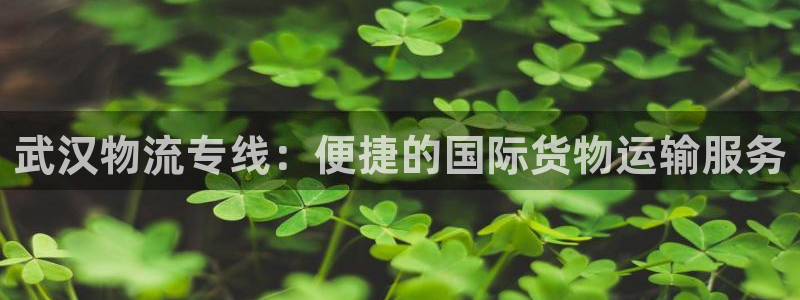 多多28注册账号：武汉物流专线：便捷