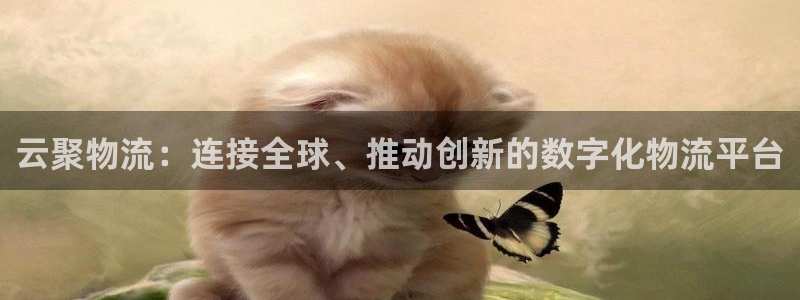 多多28起来的符号：云聚物流：连接全