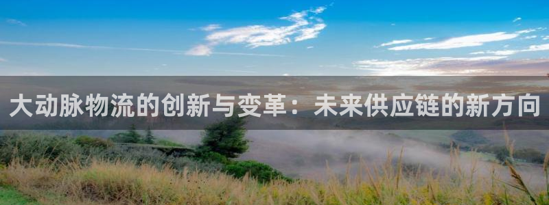 多多28连输10天：大动脉物流的创新
