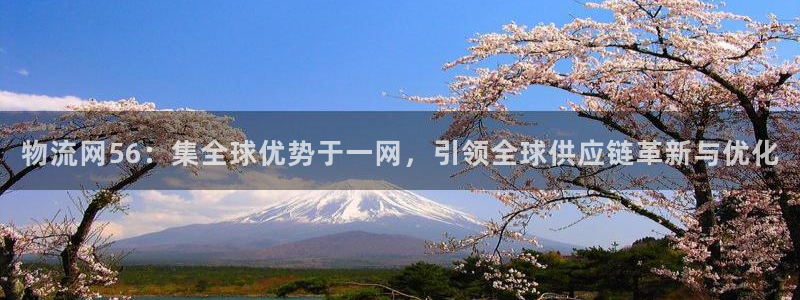 pc多多28怎么注册：物流网56：集