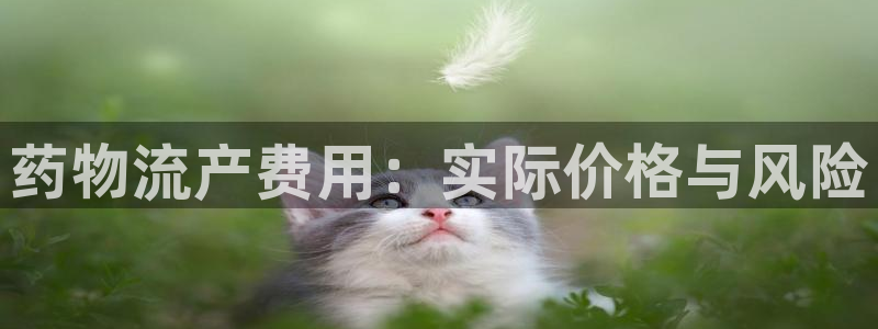 多多28在线预测：药物流产费用：实际