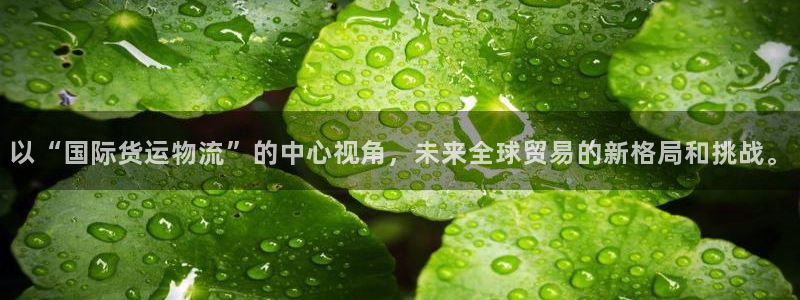 多多28预测加拿大：以“国际货运物流