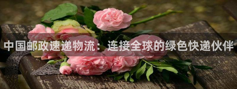 多多28登录用户名登录不上：中国邮政