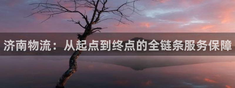 多多28官网下载谁有：济南物流：从起