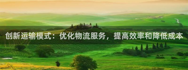 多多28链接是什么：创新运输模式：优