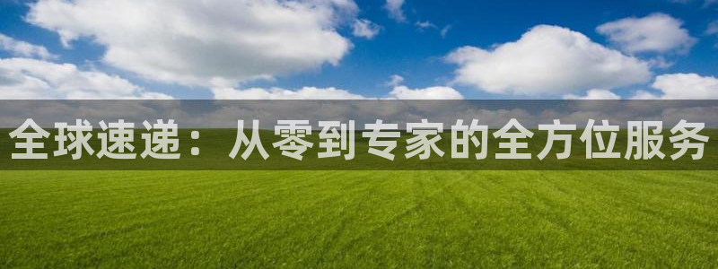 多多28怎么下载不了：全球速递：从零
