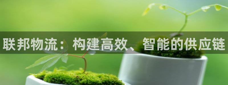 多多28预测加拿大：联邦物流：构建高