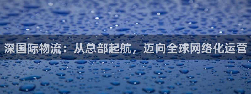 多多28口：深国际物流：从总部起航，