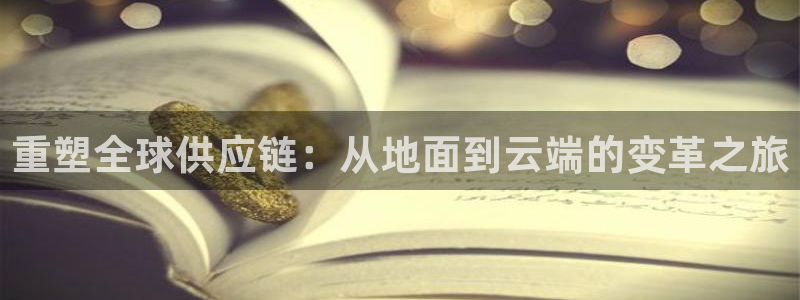 多多28下载二维码怎么弄：重塑全球供
