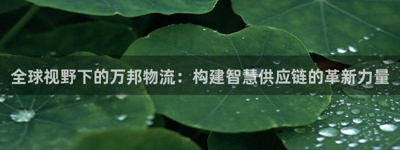 多多28官网开奖结果预测查询：全球视