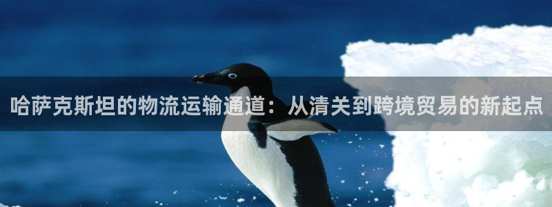 多多28起来的符号：哈萨克斯坦的物流