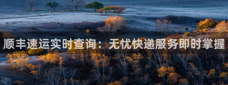 多多28现在狂杀：顺丰速运实时查询：
