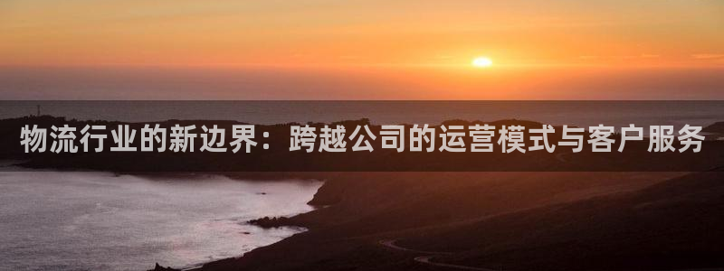 多多28游戏：物流行业的新边界：跨越