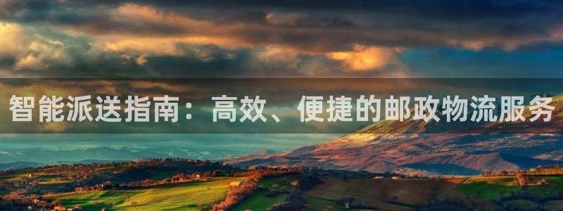 多多28注册送：智能派送指南：高效、