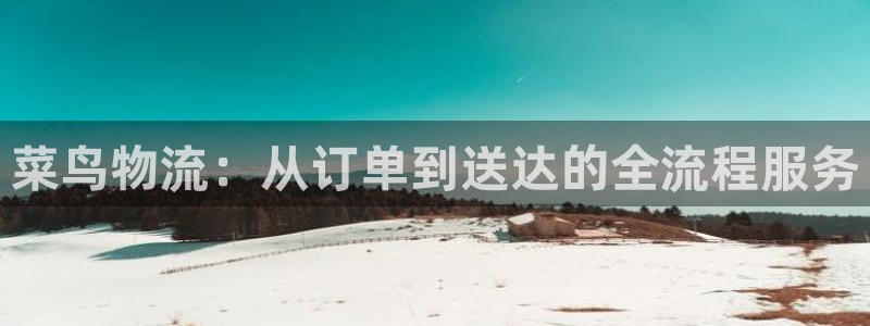 多多28加拿大技巧：菜鸟物流：从订单