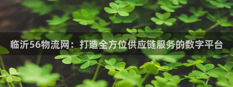 多多28官网入口app：临沂56物流