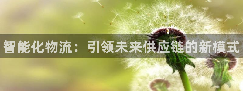 多多28黑款：智能化物流：引领未来供