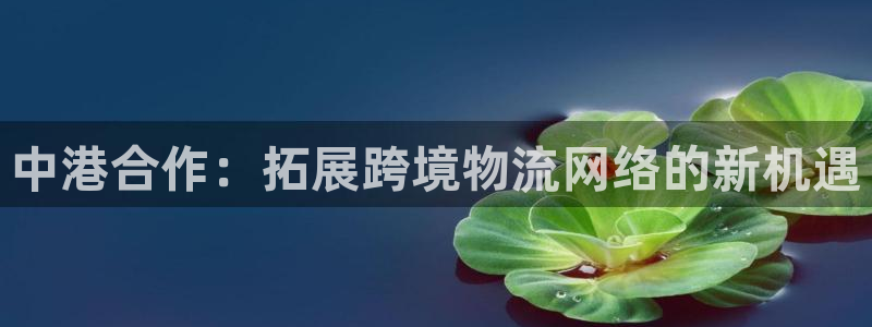 多多28如何看计划：中港合作：拓展跨