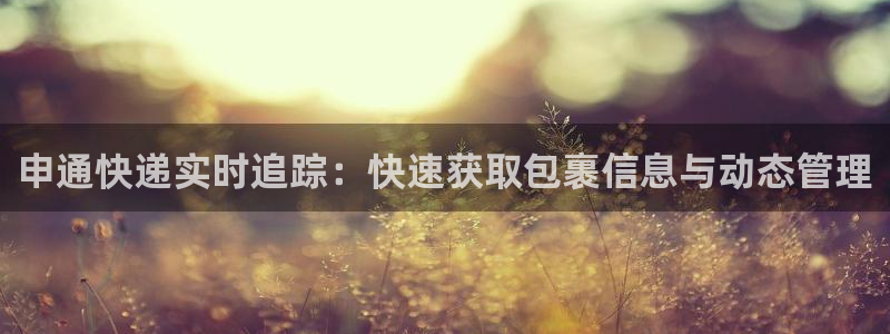 多多28注册登录链接：申通快递实时追