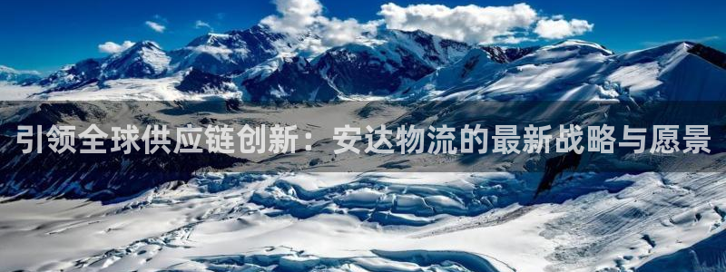 多多28黑吗：引领全球供应链创新：安