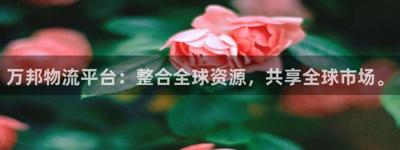 多多28登陆网：万邦物流平台：整合全
