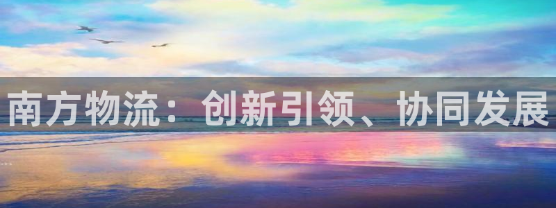 多多28忘记账号：南方物流：创新引领