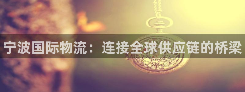 多多28模拟器在线使用：宁波国际物流