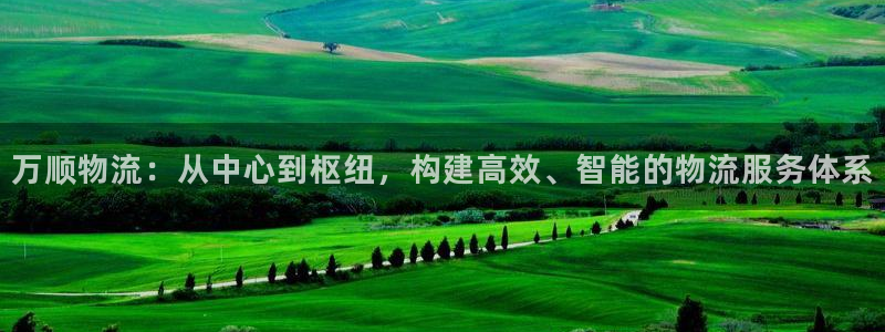 南宫多多28官网：万顺物流：从中心到