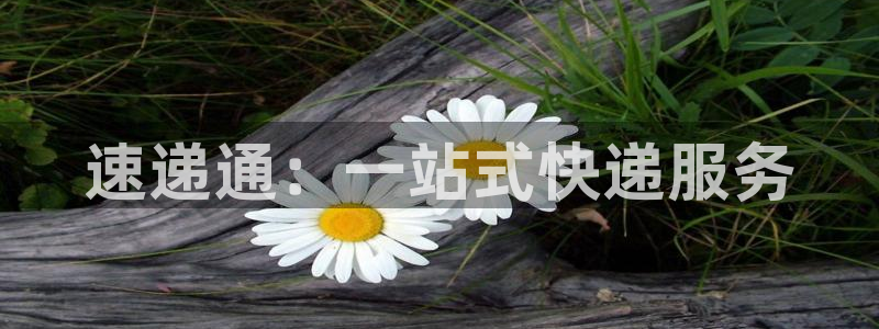 多多28是什么软件：速递通：一站式快