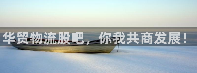 多多28娱乐官网网页下载：华贸物流股