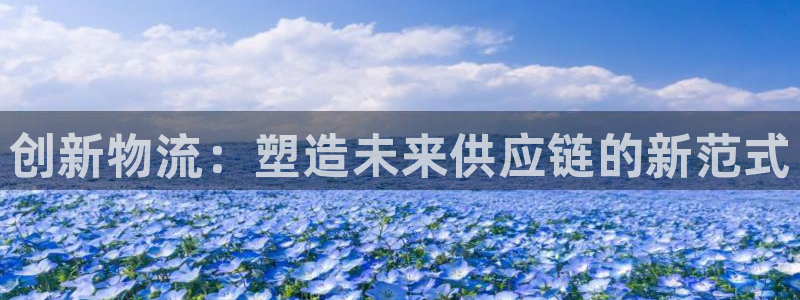 多多28ip被限制怎么解决：创新物流