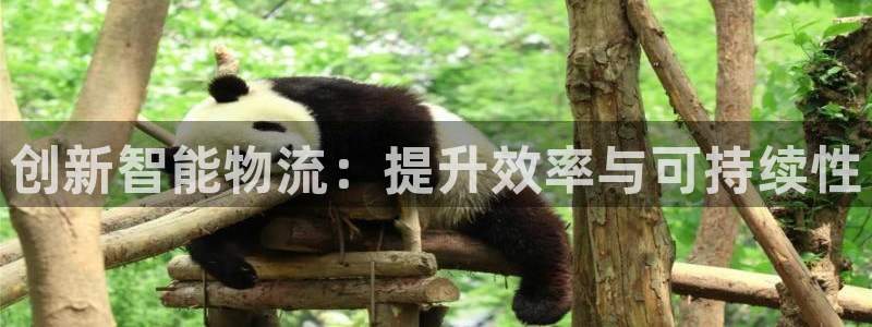 多多28app怎么注销：创新智能物流