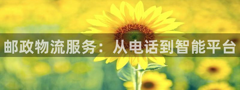 多多28注册网页版：邮政物流服务：从