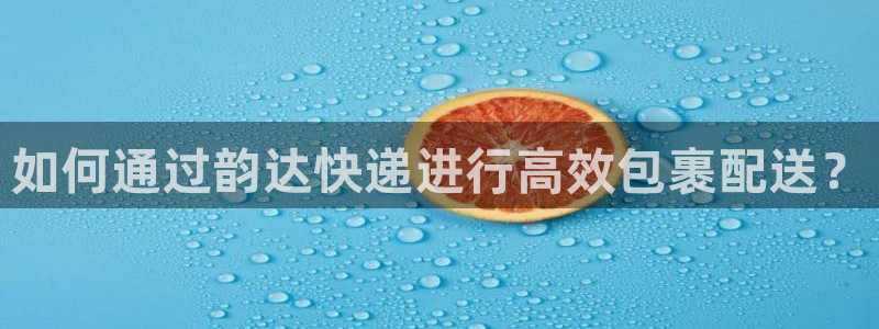 多多28旗下：如何通过韵达快递进行高